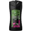 Axe Wild Fresh Bergamot & Pink Pepper Men sprchový gél 250 ml