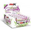 Amix CarniLine Pro Fitness + Bioperine 25 ml pomeranč
