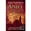 Anjel v podsvetí (Stein… (Juraj Červenák)