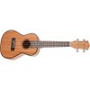 Cascha HH 2036 Concert Mahogany Ukulele Bundle