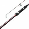 Delphin Etna Carp II Next Generation 3,6 m 3,25 lb 3 diely