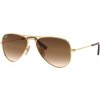 Ray-Ban RJ9506S 223/13 - (50-13-120)