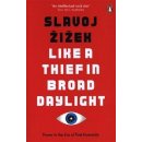 Like A Thief In Broad Daylight - Slavoj Zizek