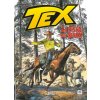 Tex. La pista dei Sioux (Tito Faraci)(Pevná)