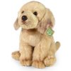 Rappa labrador sediaci 27 cm