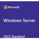 Windows Server CAL 2022 Cze 1pk 1 Clt User CAL OEM R18-06446