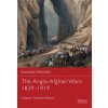 Anglo-Afghan Wars 1839-1919 (Gregory Fremont-Barnes)(Brožovaná)