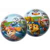 Dino Lopta Paw Patrol 23 cm