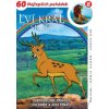 Lví král - Simba 08 (papierový obal)