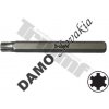 TRIUMF Bit Ribe, 10 mm driek, dĺžka 100 mm M12