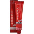 Farba na vlasy Schwarzkopf Igora Royal 6-12 tmavá blond popolavá extra 60 ml