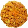 Cibuľa sadzačka VŠETANA 8-21 mm 250 g