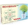 Salix REVIBRAIN 30 kapsúls