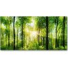 Foto obraz akrylový do obývačky Les slnko 100x50 cm