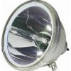 Lampa do projektora VIVITEK D851, kompatibilná lampa bez modulu