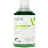 VetExpert Cat,Dog Caryodent Proliqua 250 ml