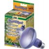 JBL Reptil Spot Neodym 40 W
