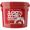 Scitec 100% Whey Protein Professional 5000 g