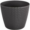 Prosperplast SPLOFY 25,9 cm grafit DSP260
