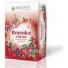 MEGAFYT Brusnice s bazou ovocný čaj 20 x 2 g