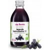 Sirup BIO kamčatská čučoriedka Berries Poľsko 250 ml