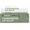 Enecta krém proti starnutiu CBD 700 mg, 50 ml