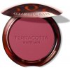 Guerlain Púdrová tvárenka Terracotta (Blush) 5 g 04 Rose Foncé