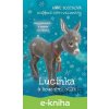 E-kniha Lucinka a kouzelný oslík - Anne Booth, Sophy Williams (ilustrátor)