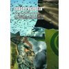 Noise Receptor Journal: Archive Volume 2: Sound with Impact - Analysing the Abstract (Stevenson Richard)