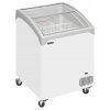 TEFCOLD NIC 101 SCEB