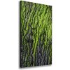 Vertikálny foto obraz na plátne do obývačky Kôra stromu 50x100 cm