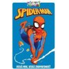Spider-Man - Paul Tobin