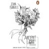 Ancient Light Penguin Es… (John Banville)