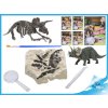 Dinosaurus 12 cm a skamenelina v sadre s dlátom, lupou a štetcom