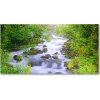 Foto obraz akryl do obývačky Horská rieka 100x50 cm