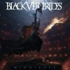 Black Veil Brides: Vindicate - Vinyl (LP)