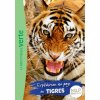 Wild Immersion 02 - Expédition au pays des tigres ()