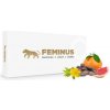 FEMINUS pre ženy 60 tabliet