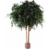 Ficus Exotica gigant, 350cm (umelý strom)