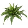Umelá rastlina Bostonské papradie, 60cm
