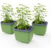 Gusta Garden HERBS BUDDY samozavlažovací kvetináč zelený, 3ks v balení GG-122F11