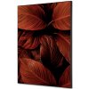 Jansen Display Textilné dekorácie na stenu A2 Listy rastlín Červená, 420 x 594 mm