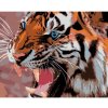 Diamondi Diamantové maľovanie MODRÉ TIGRIE OČI 40 x 50 cm bez rámu a bez vypnutia plátna