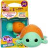 LITTLE LIVE PETS NEEDEES INTERAKTÍVNA KORYTNAČKA Sandee, viac ako 50 zvukov