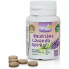 Valeriána lekárska s chmeľom a levanduľou 0,371g x 50 tab.