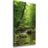 Vertikálny foto obraz canvas Rieka v lese 50x100 cm
