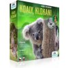 Exkurze do divočiny Koaly, klokani a další vačnatci