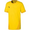 Dres Puma teamGOAL 23 Jr 704160 07 116CM