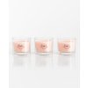 Yankee Candle Pink Sands 3 x 37 g