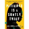 Patience Is a Subtle Thief - Ishola Ayodeji Abi